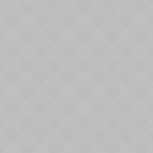 04 Precious Peach Tulips