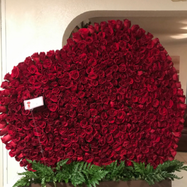 Arreglo de 600 rosas en ciudad juárez