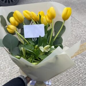Ramo de 10 tulipanes